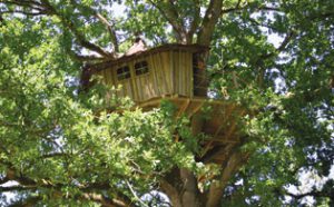 cabane-arbre-domaine-des-ormes