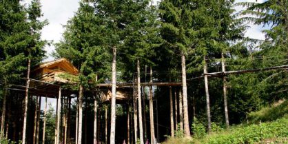 Construire une cabane dans les arbres